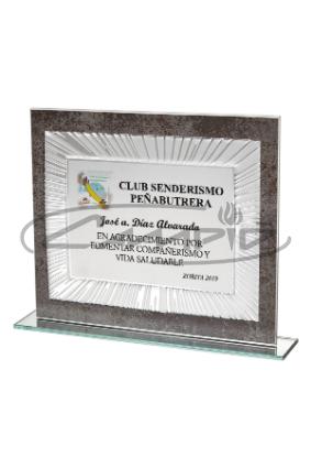 PLACAS HOMENAGEM W1126FP109