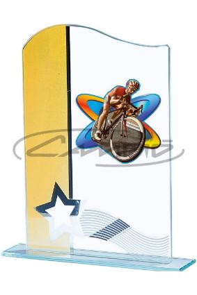 TROF&Eacute;US DESPORTIVOS W1126FT430