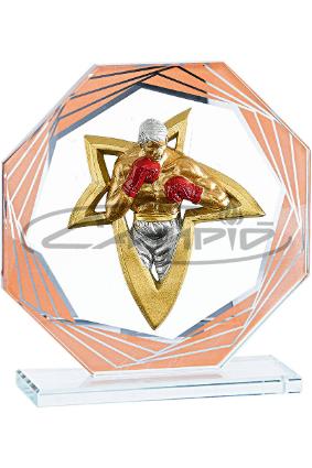 TROF&Eacute;US DESPORTIVOS W1126FT409