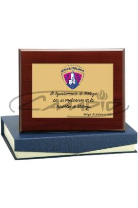 PLACAS HOMENAGEM W1126FP120