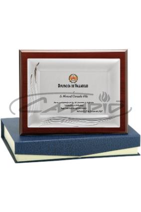 PLACAS HOMENAGEM W1126FP123