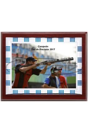 PLACAS HOMENAGEM W1126FP127