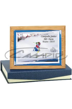 PLACAS HOMENAGEM W1126FP129