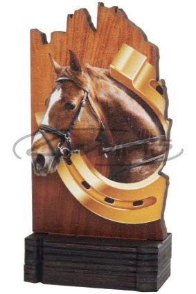 TROF&Eacute;US DESPORTIVOS W1126FT592