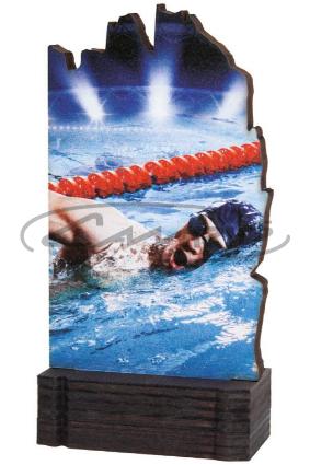 TROF&Eacute;US DESPORTIVOS W1126FT604