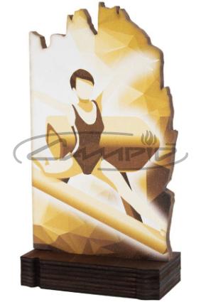 TROF&Eacute;US DESPORTIVOS W1126FT622