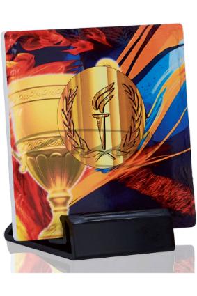 TROF&Eacute;US DESPORTIVOS W1126FT420