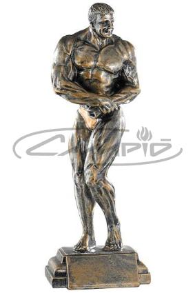 TROF&Eacute;US DESPORTIVOS W1126FT311