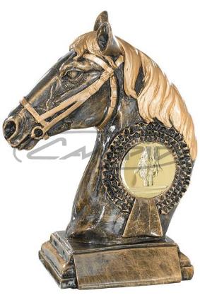 TROF&Eacute;US DESPORTIVOS W1126FT309