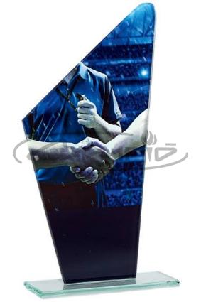 TROF&Eacute;US DESPORTIVOS W1126FT389