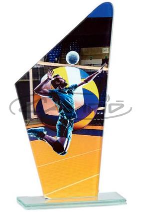 TROF&Eacute;US DESPORTIVOS W1126FT398