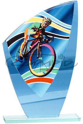 TROF&Eacute;US DESPORTIVOS W1126FT349