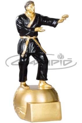 TROF&Eacute;US DESPORTIVOS W1126FT276