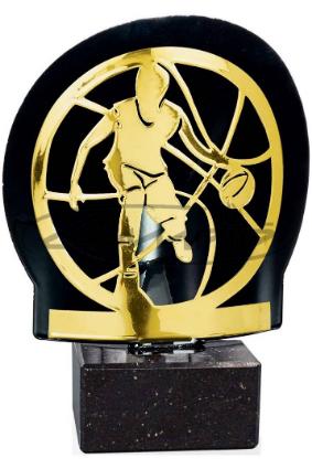 TROF&Eacute;US DESPORTIVOS W1126FT558