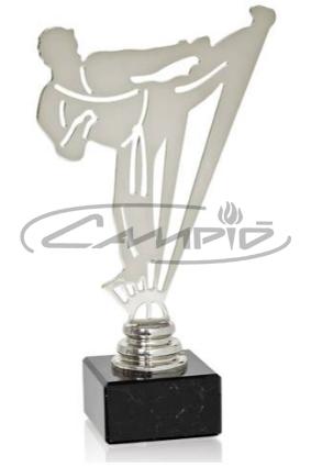 TROF&Eacute;US DESPORTIVOS W1126FT495