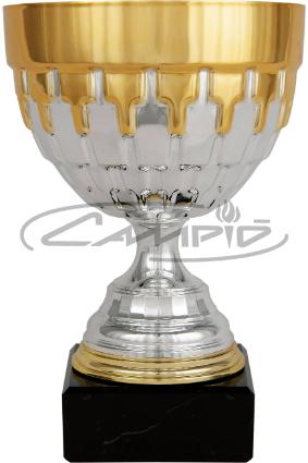 TA&Ccedil;AS W0016C167