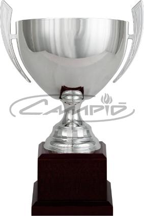 TA&Ccedil;AS W0016C311