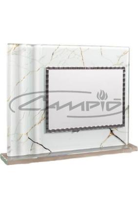 PLACAS HOMENAGEM W0016PL101