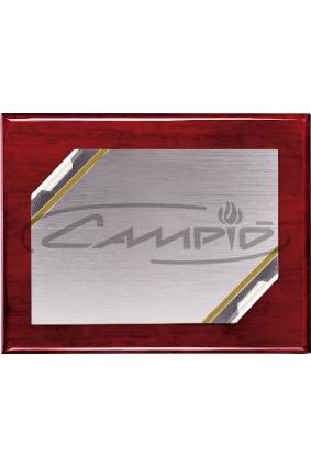PLACAS HOMENAGEM W0016PL110
