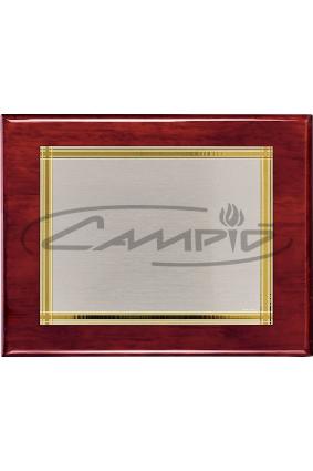 PLACAS HOMENAGEM W0016PL112