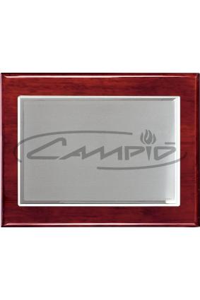 PLACAS HOMENAGEM W0016PL113