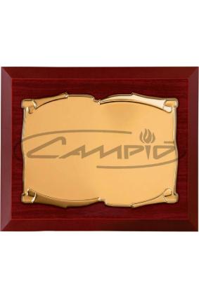 PLACAS HOMENAGEM W0016PL153
