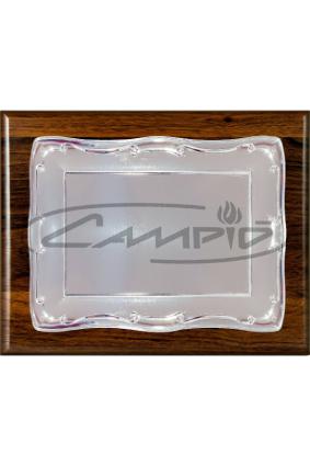 PLACAS HOMENAGEM W0016PL118