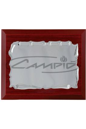 PLACAS HOMENAGEM W0016PL123