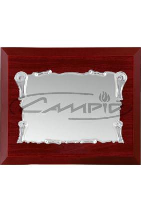 PLACAS HOMENAGEM W0016PL130