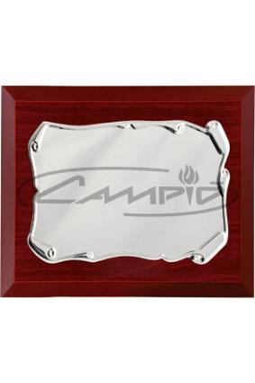 PLACAS HOMENAGEM W0016PL139